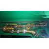 Saxophon Dolnet Paris 80949 im Koffer 