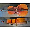 Geige, Violine 4/4